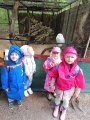Výlet ZOO Hrádeček u Třeboně