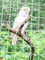 Výlet ZOO Hrádeček u Třeboně