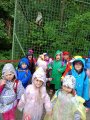 Výlet ZOO Hrádeček u Třeboně
